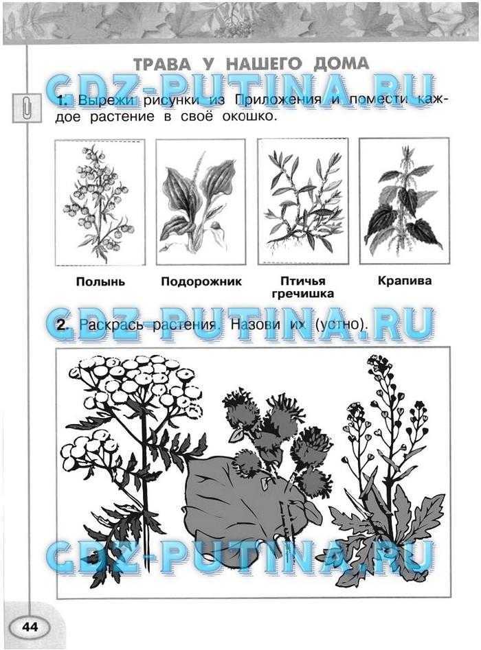 Гдз по окружающему миру 2 класс 1 часть плешаков а.а. новицкая м.