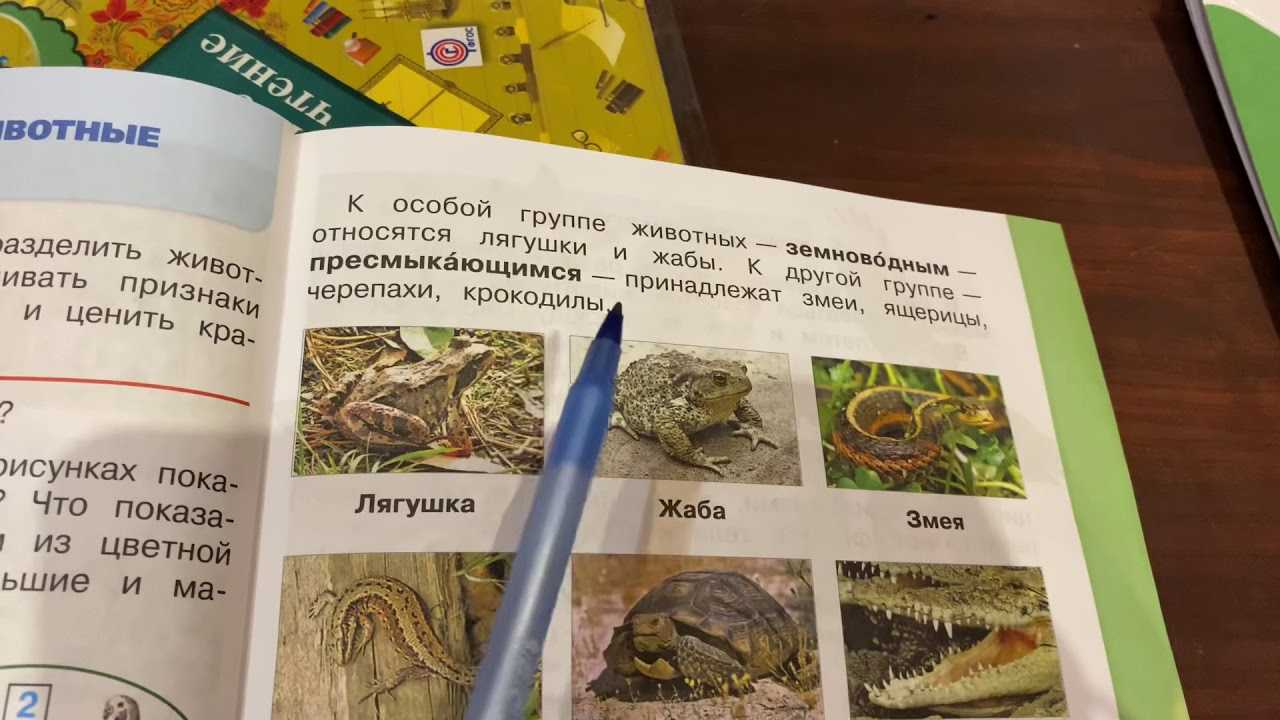 Какие бывают животные? стр. 60 - 63 окружающий мир 2 класс 1 часть