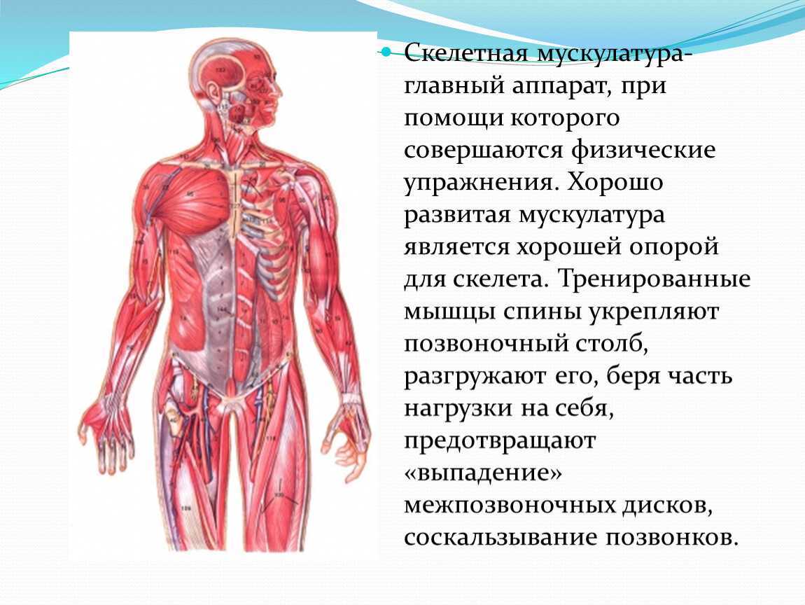 Стр 137 учебник окружающий мир 3 класс 1 часть плешаков ответы гдз | 1klass.org