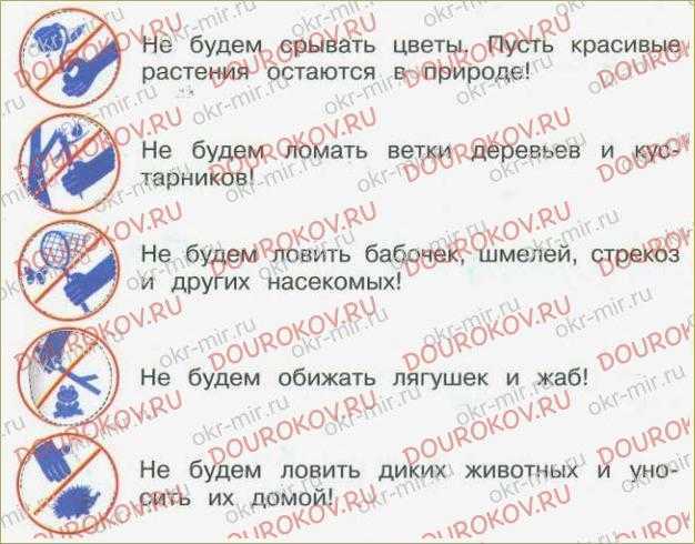 Решебник к учебному пособию: окружающий мир 2 класс плешаков, новицкая - рабочая тетрадь