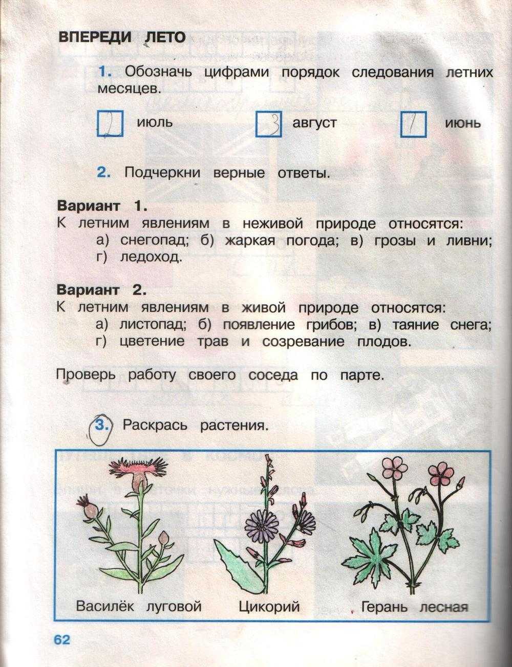 Гдз окружающий мир 2 класс плешаков - учебник