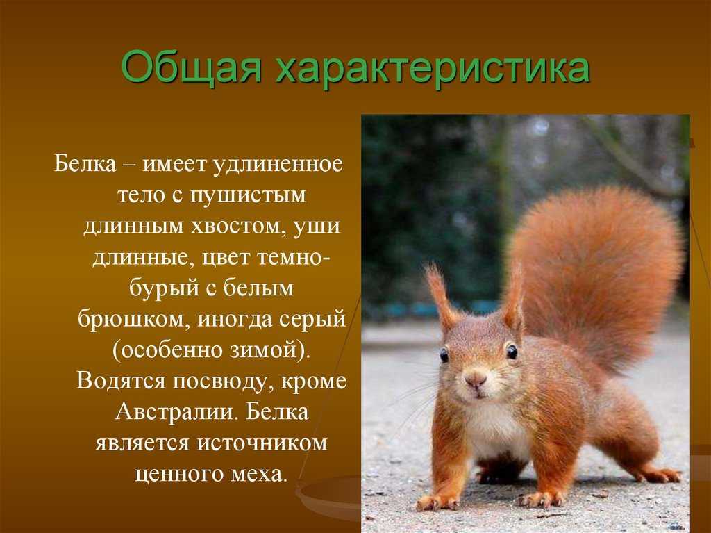 Окружающий мир. 2 класс. ответы