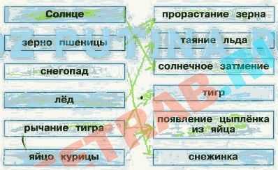 Окружающий мир 2 класс рабочая тетрадь плешаков - дневник наблюдений