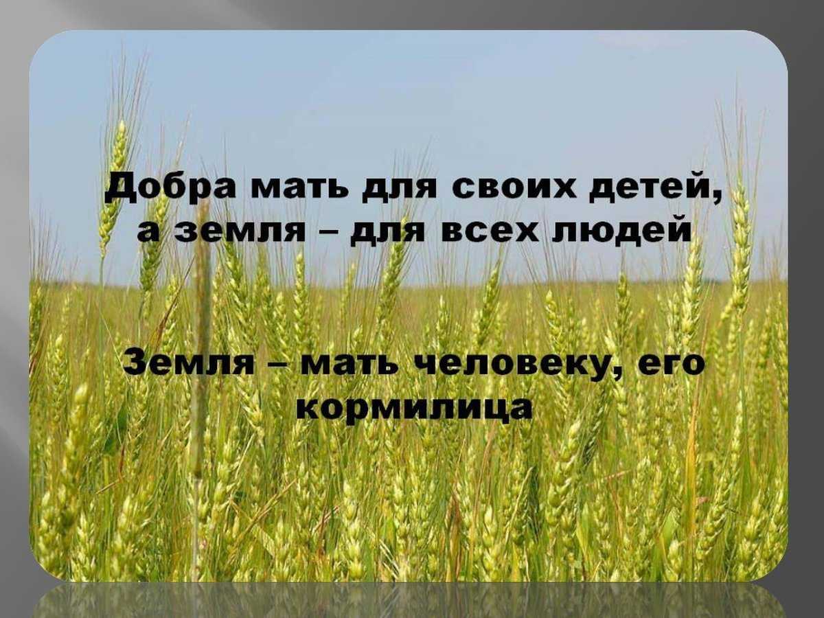 Гдз и решебник окружающий мир 3 класс плешаков, новицкая - рабочая тетрадь