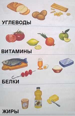 Гдз окружающий мир 3 класс плешаков, крючкова - учебник