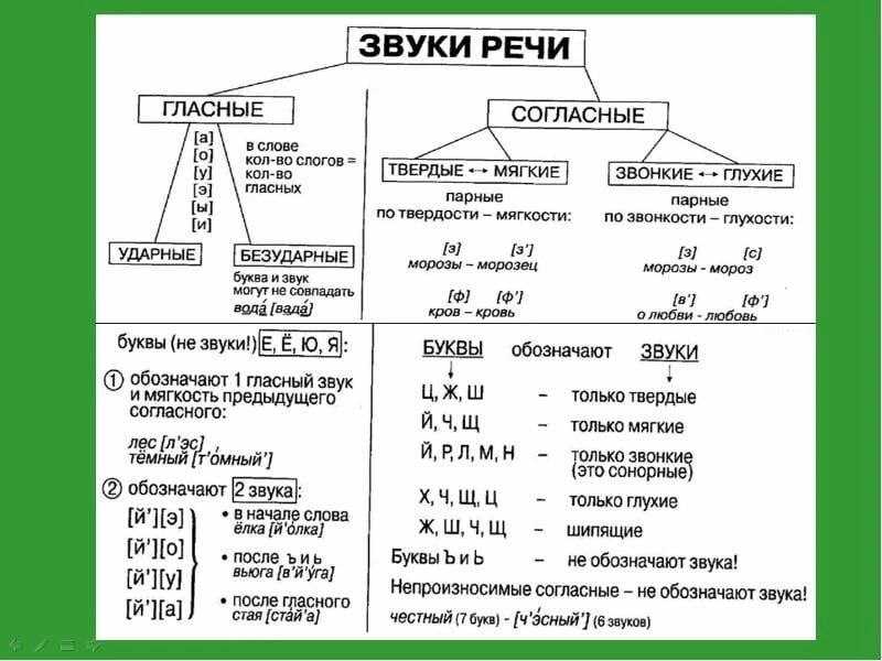 Русский язык. 2 класс. ответы к заданиям |  развивайка