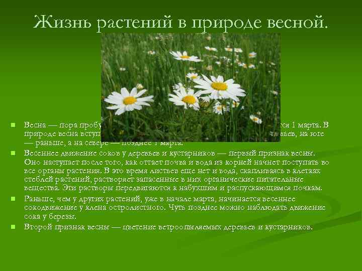 Окружающий мир 2 класс плешаков рабочая тетрадь 1 часть — страницы 20, 21, 22, 23, 24