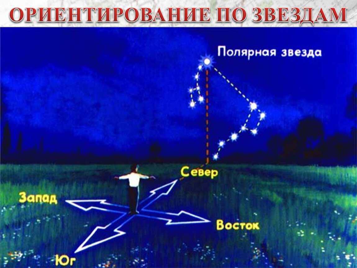 Гдз окружающий мир 2 класс плешаков - учебник