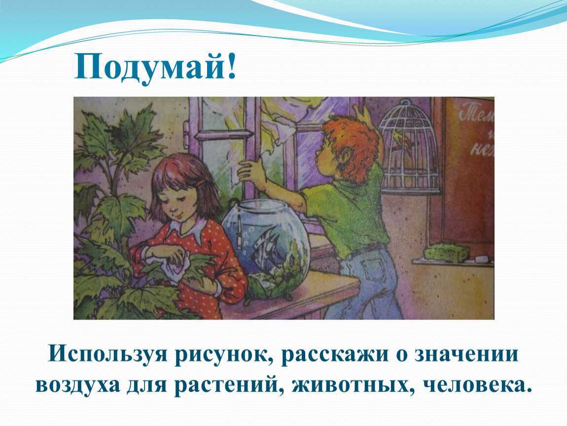 3 класс. окружающий мир. плешаков. рабочая тетрадь. часть 1. страницы 61, 62, 63, 64