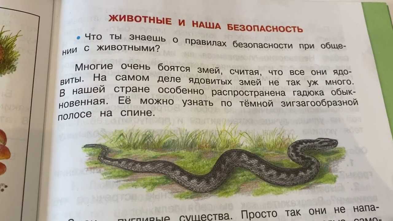 Плешаков. 3 класс. рт №2, с. 16 – 19