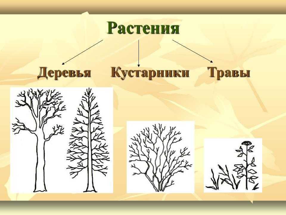 Гдз рф - готовые ответы по окружающему миру для 2 класса рабочая тетрадь а.а. плешаков школа россии  просвещение