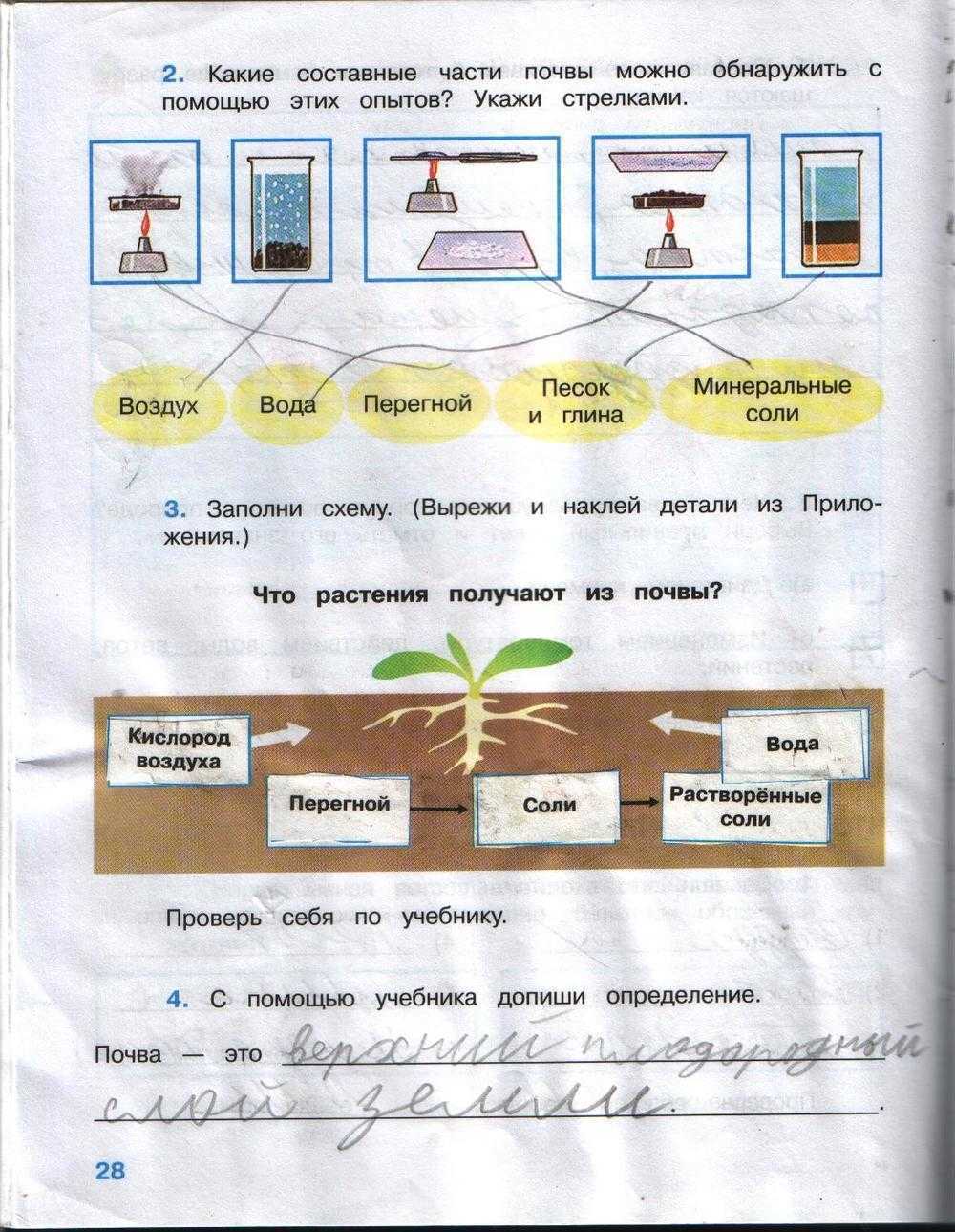 Гдз на рабочую тетрадь плешаков по окружающему миру 3 класс