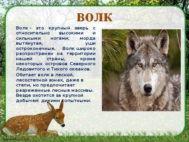 Гдз рф - готовые ответы по окружающему миру для 2 класса  а.а. плешаков школа россии  просвещение