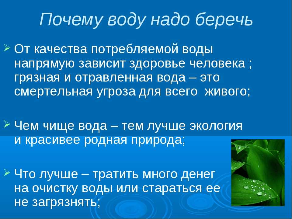 Окружающий мир 3 класс учебник 1 часть стр 67