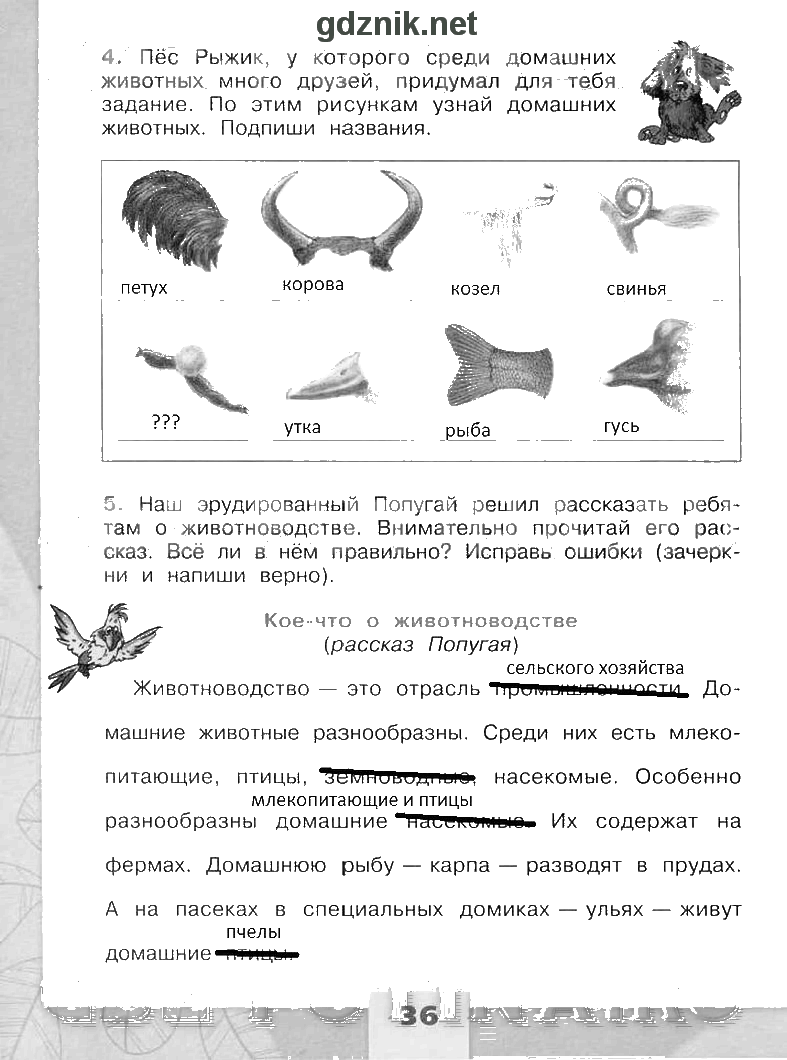 Гдз по окружающему миру 3 класс 2 часть — рабочая тетрадь — плешаков а.а. новицкая м.ю.