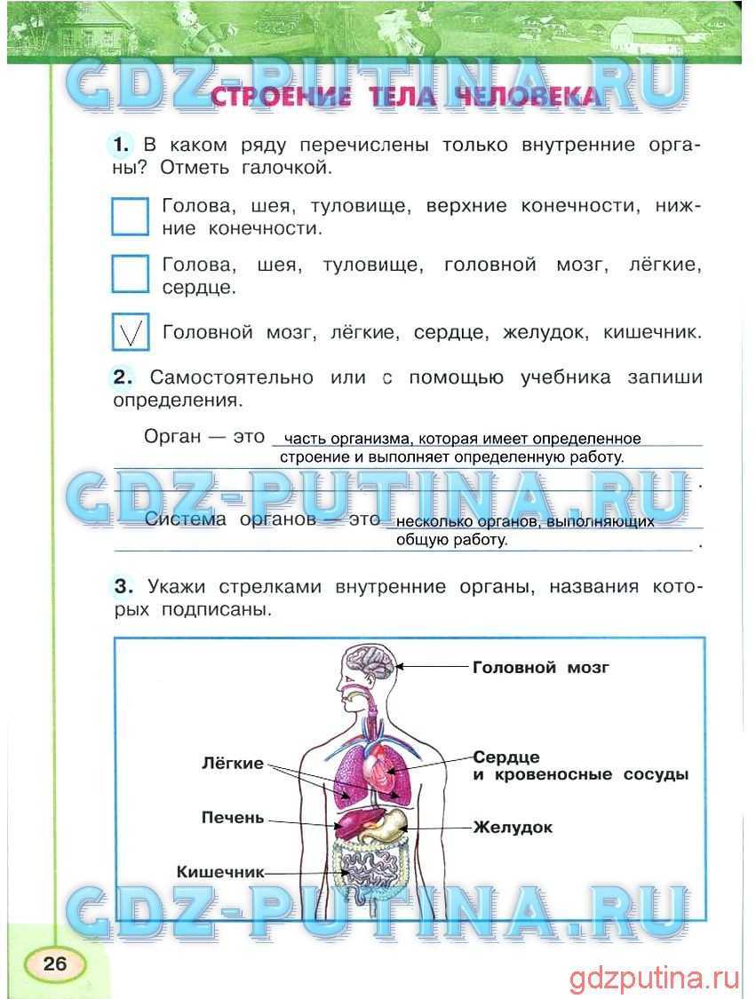 Решебник к учебному пособию: окружающий мир 2 класс плешаков, новицкая - рабочая тетрадь