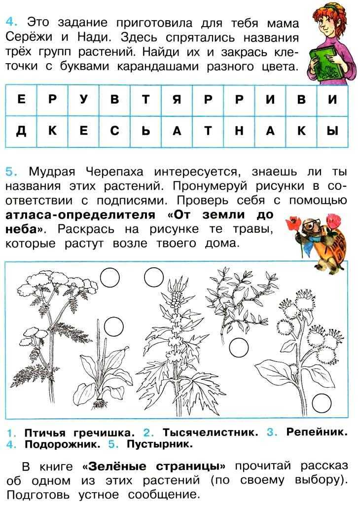 Страница 36-38 гдз по окружающему миру 2 класс плешаков, рабочая тетрадь 1 часть 2023