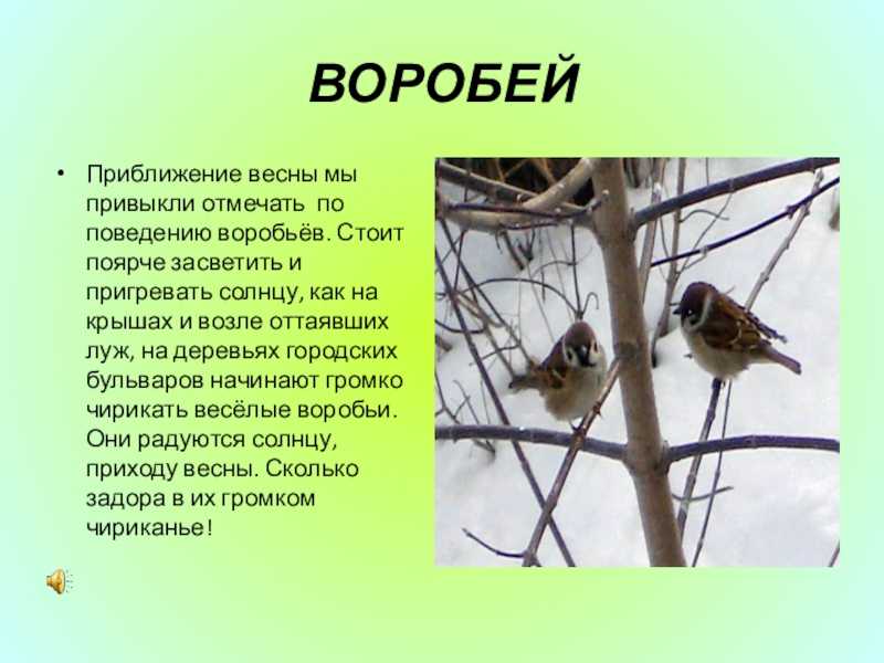 Гдз окружающий мир 2 класс 1 часть учебник плешаков