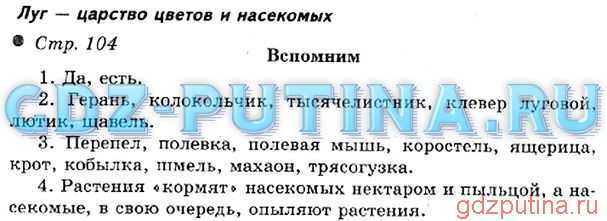 Плешаков. 3 класс. учебник №1, с. 55 — 58 |  волжский класс