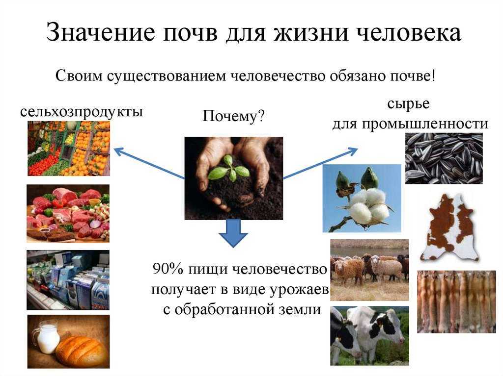 Гдз по окружающему миру для 3 класса к учебнику плешакова часть 1, 2