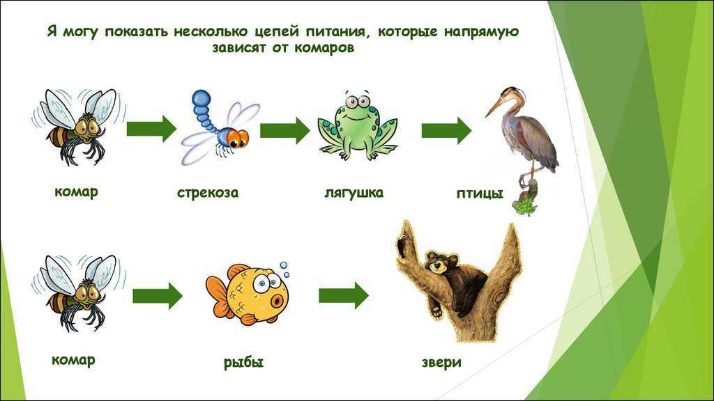 Составь схемы цепей питания вписав нужные