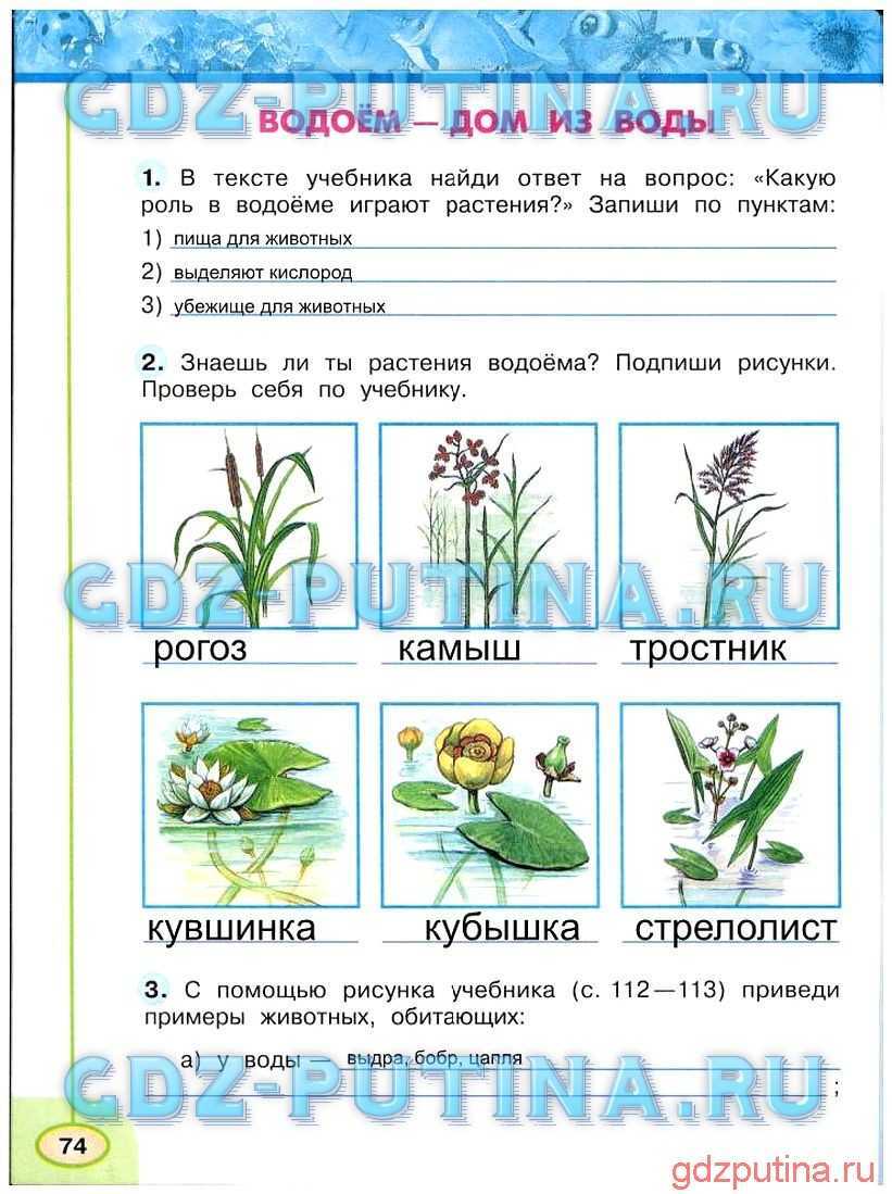 Гдз по окружающему миру 3 класс: плешаков рабочая тетрадь