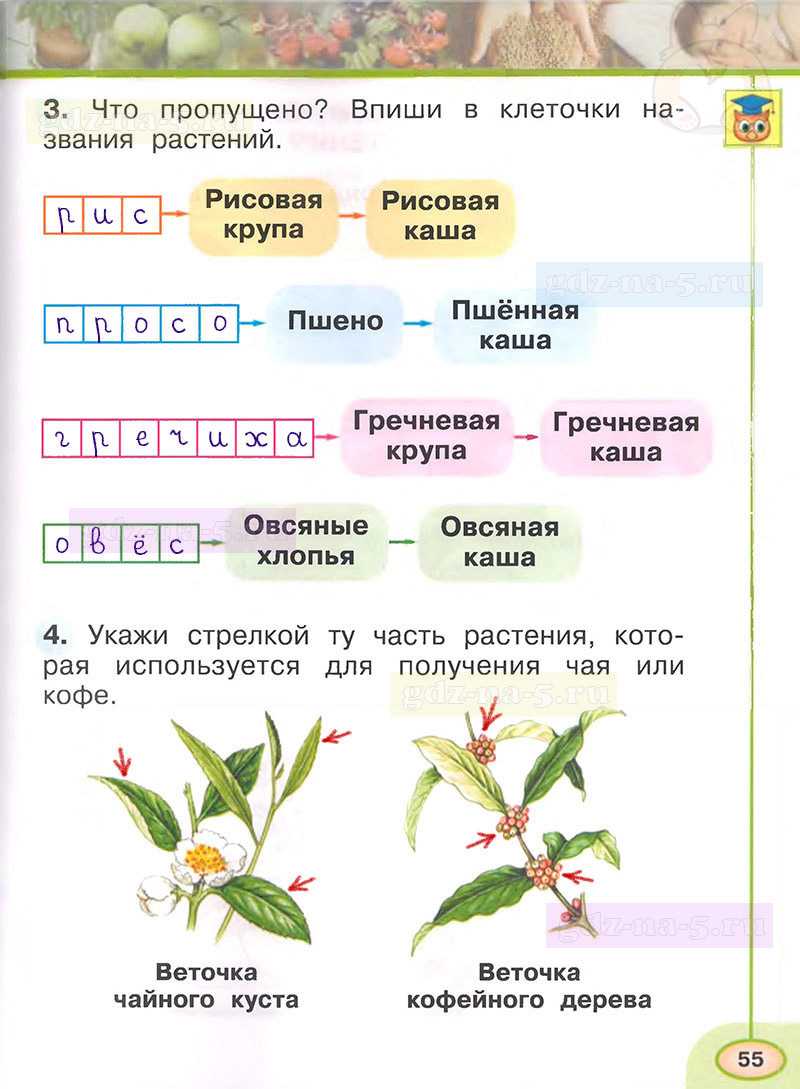 Гдз по окружающему миру 3 класс   плешаков  школа россии