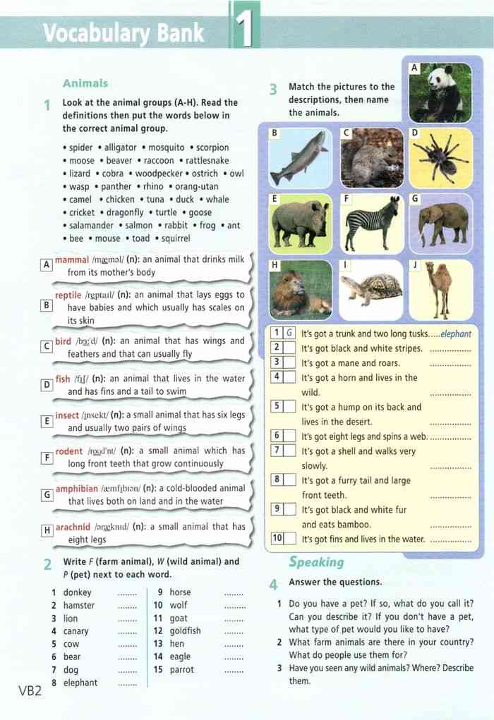 Английский язык STARLIGHT 3 класс часть 1 Баранова STARTER UNIT Lesson 15 Номер 2 Choose and complete the lists Read aloud the words There are some extra words bag, black, blue, book, class, hat, rubber, room, run, school, sun, umbrella æ u ʌ