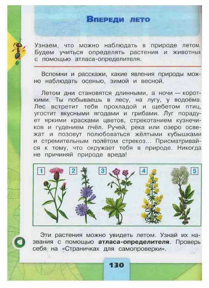 Впереди лето стр. 130 - 133. окружающий мир 2 класс 2 часть учебник плешаков а.а.