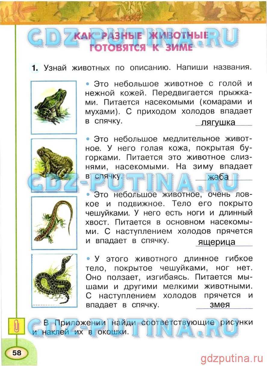 Страницы 42, 43, 44, 45 - ответы окружающий мир 2 класс плешаков рабочая тетрадь 1 часть