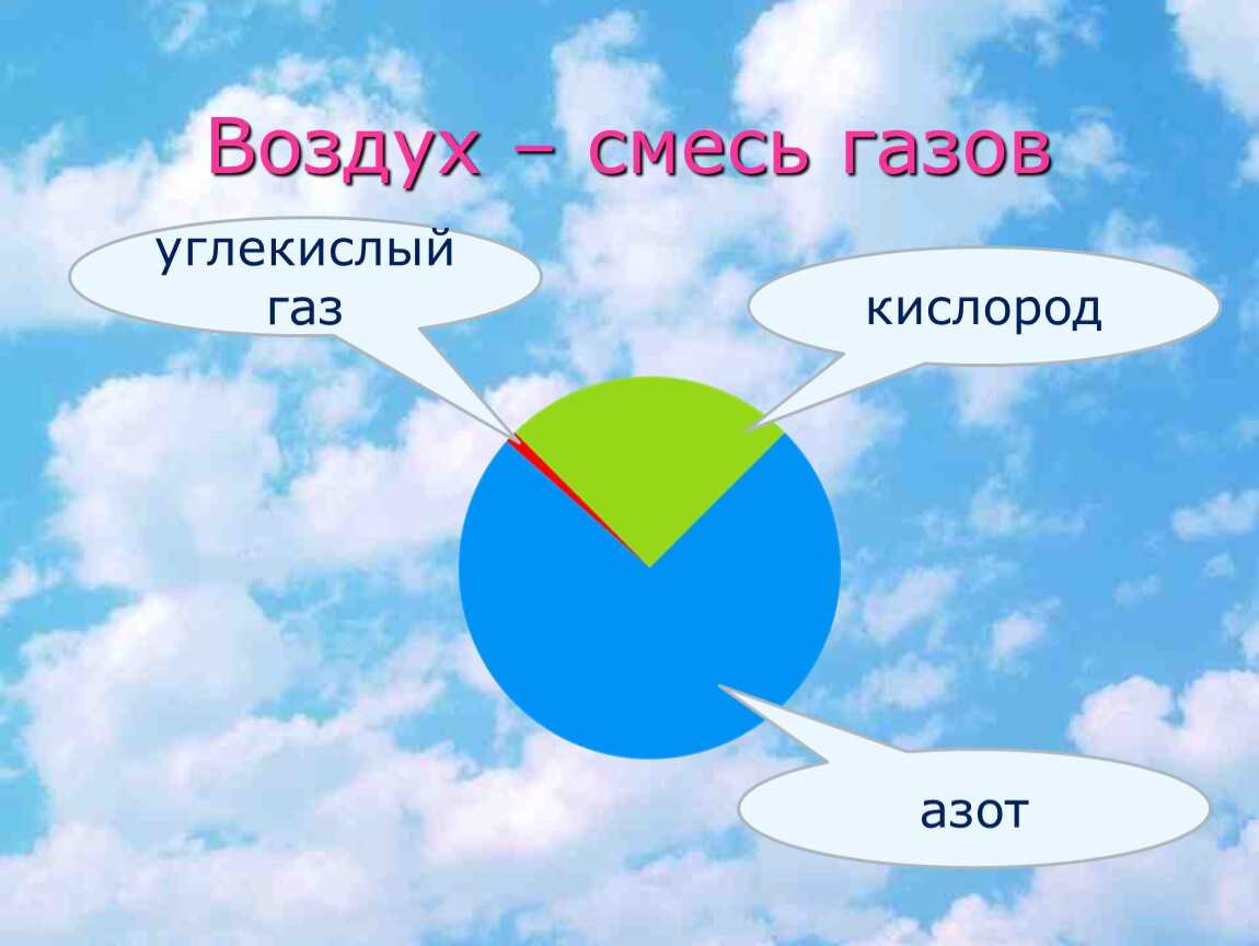 Гдз к рабочей тетради по окружающему миру 3 класс плешаков – 1, 2 часть