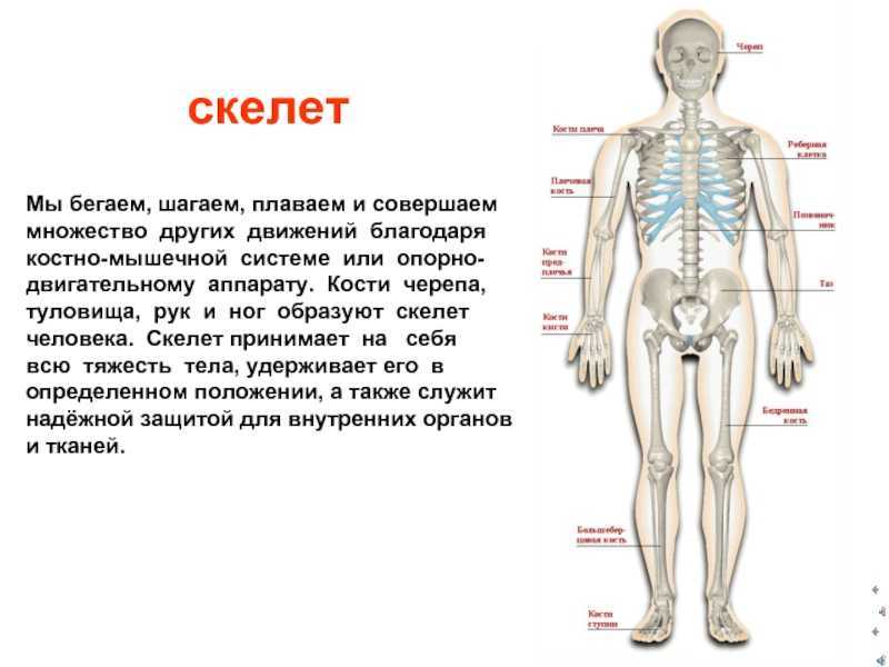 Гдз по окружающему миру для 3 класса к учебнику плешакова часть 1, 2