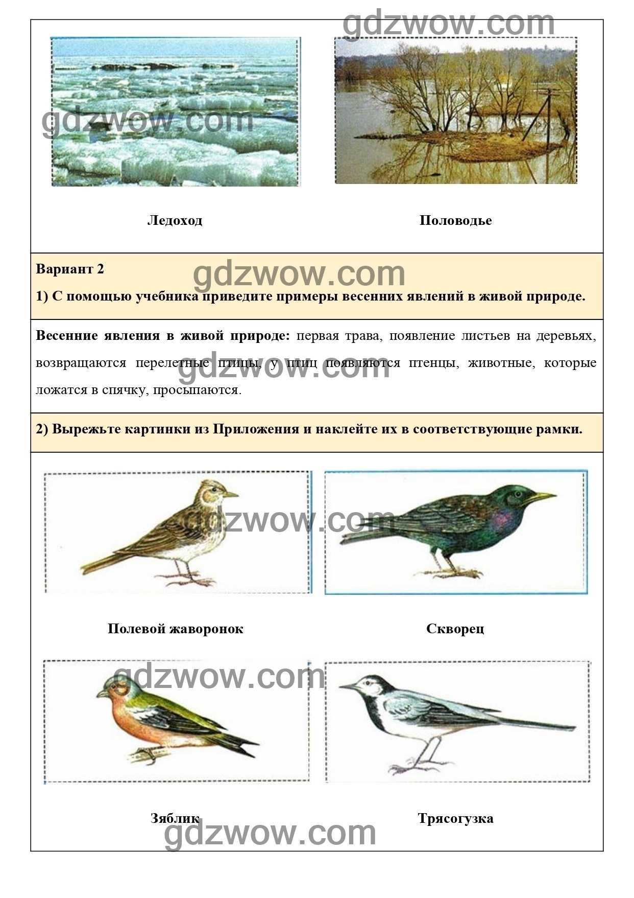 Ответы по окружающему миру, 2 класс, рабочая тетрадь, 1 часть, плешаков (школа россии)