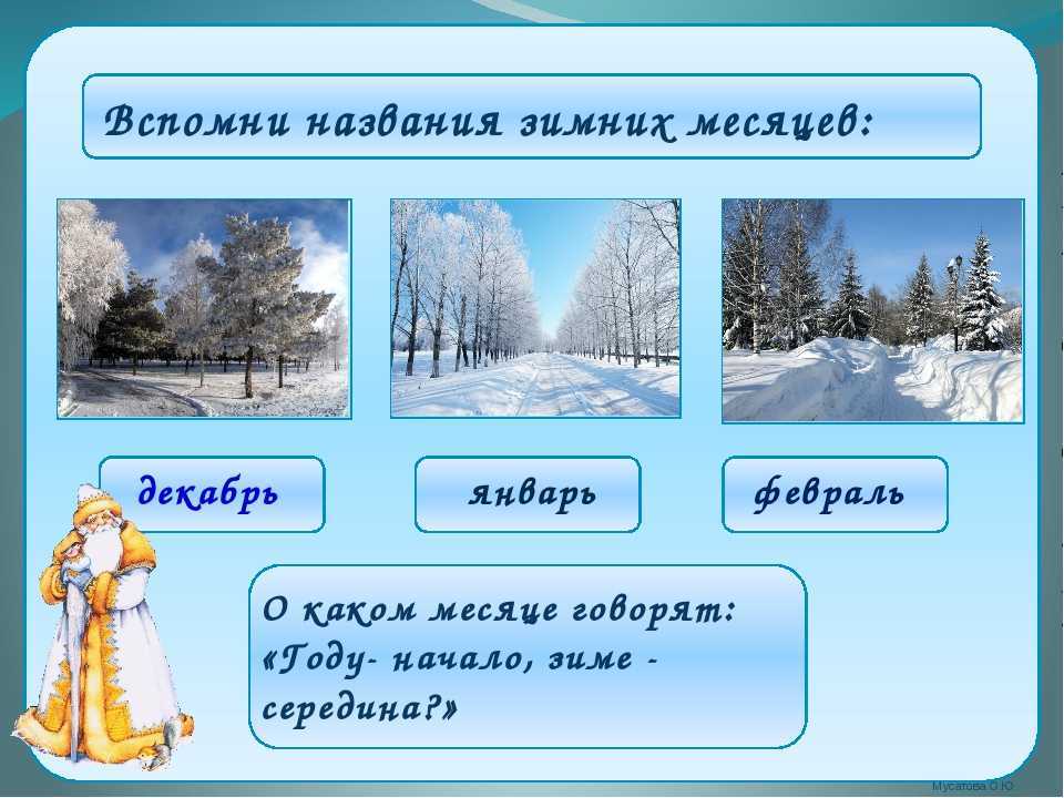 Гдз решебник по окружающему миру 2 класс  плешаков, новицкая рабочая тетрадь просвещение