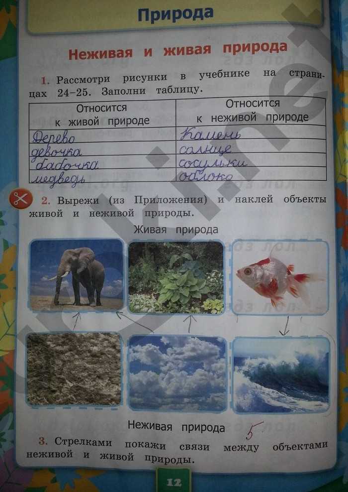 Гдз решебник по окружающему миру 2 класс плешаков рабочая тетрадь просвещение