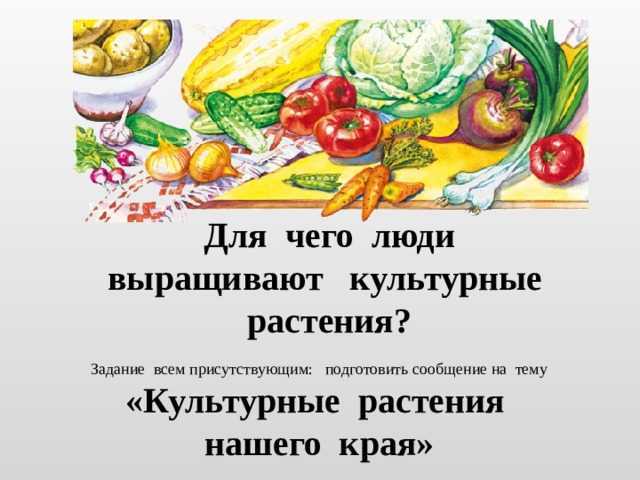 Дикие и домашние животные стр. 72 - 75 окружающий мир 2 класс 1 часть