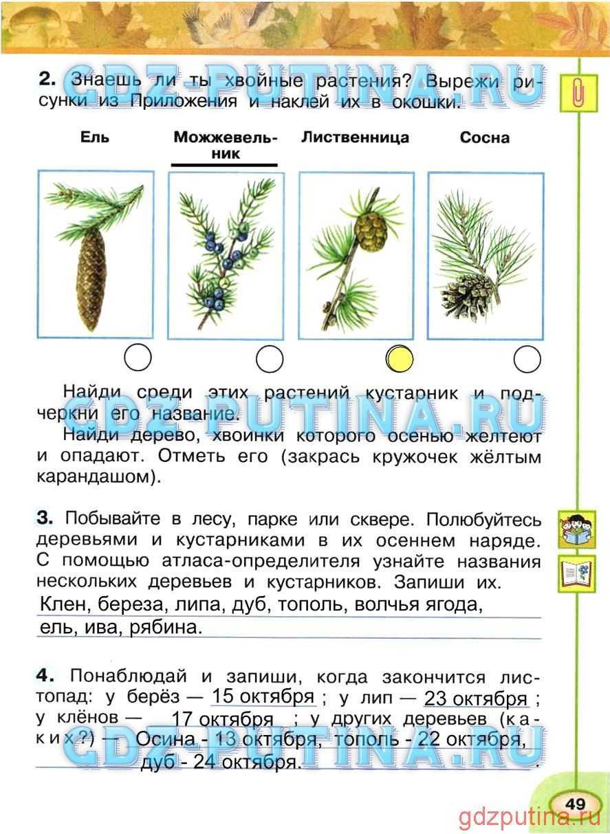 Гдз по окружающему миру 2 класс рабочая тетрадь плешаков, новицкая