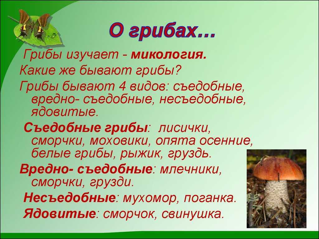 Гдз окружающий мир 3 класс плешаков, крючкова - учебник