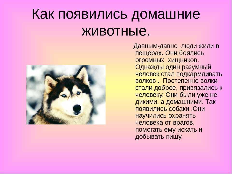 Окружающий мир 2 класс 1 часть. дикорастущие и культурные растения стр. 68 – 71